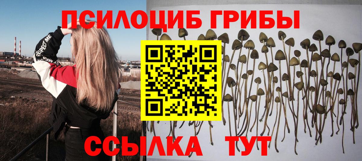 Галлюциногенные грибы ЛСД  продажа наркотиков  Бугуруслан  Вход с VPN 